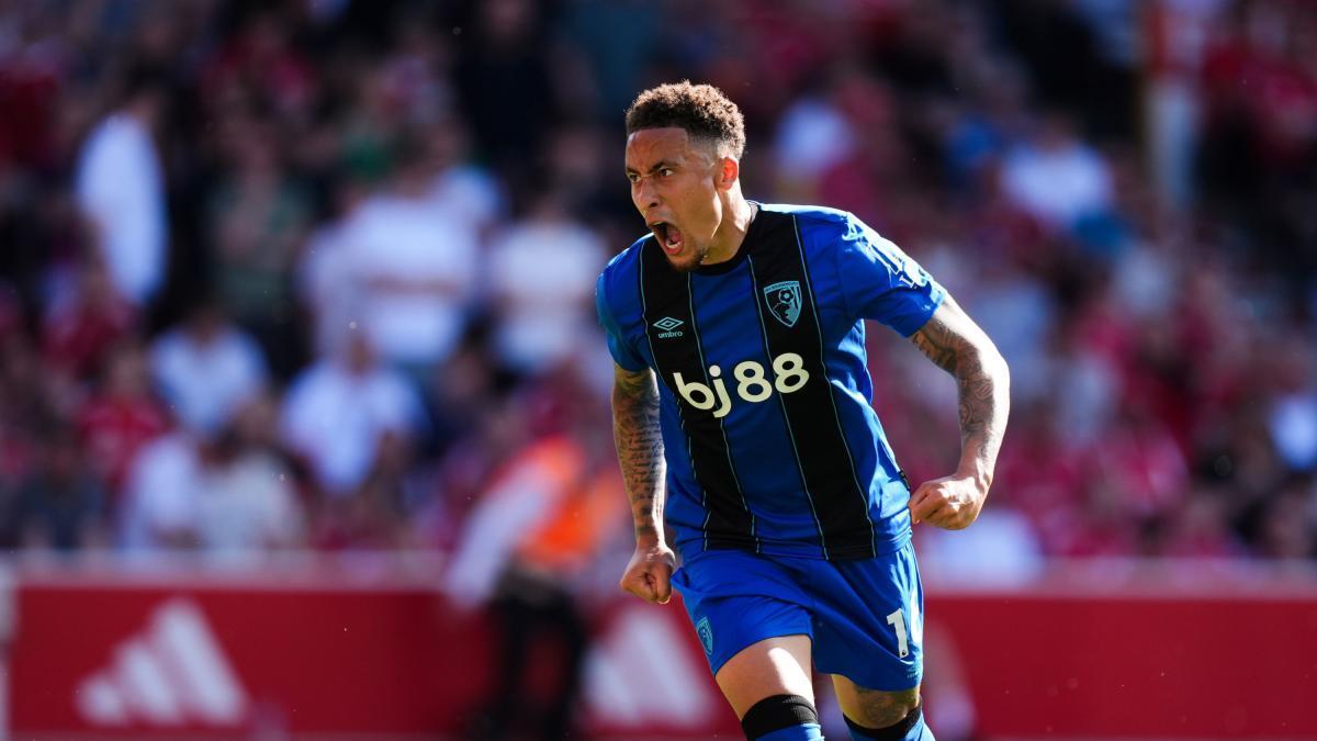 Bournemouth historique : la folle ascension d'Iraola vers l'Europe
