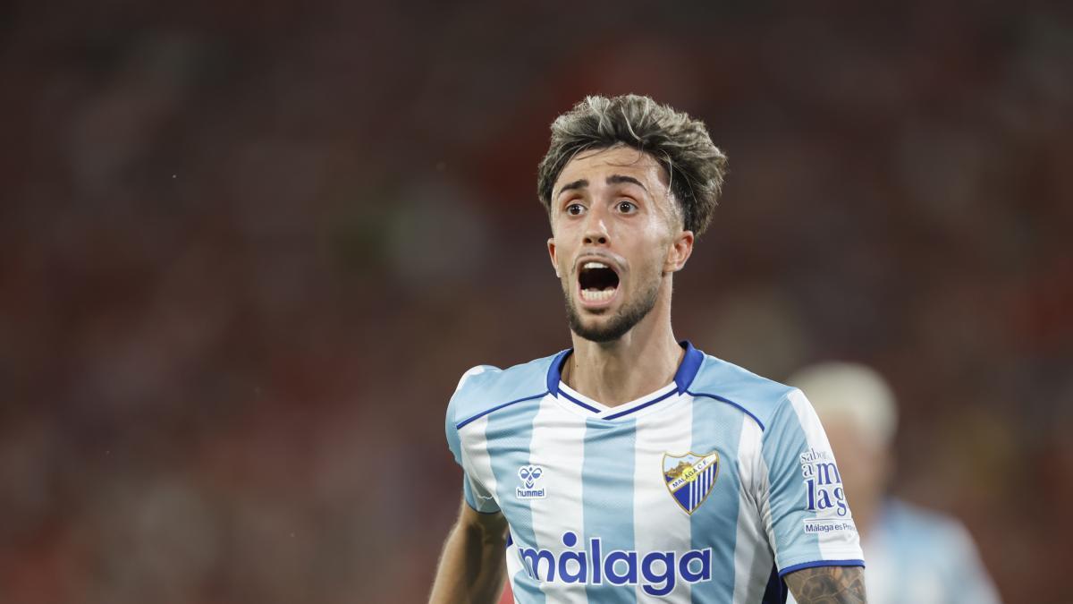 Málaga : la pétition pour rebaptiser un stade au nom de Larrubia