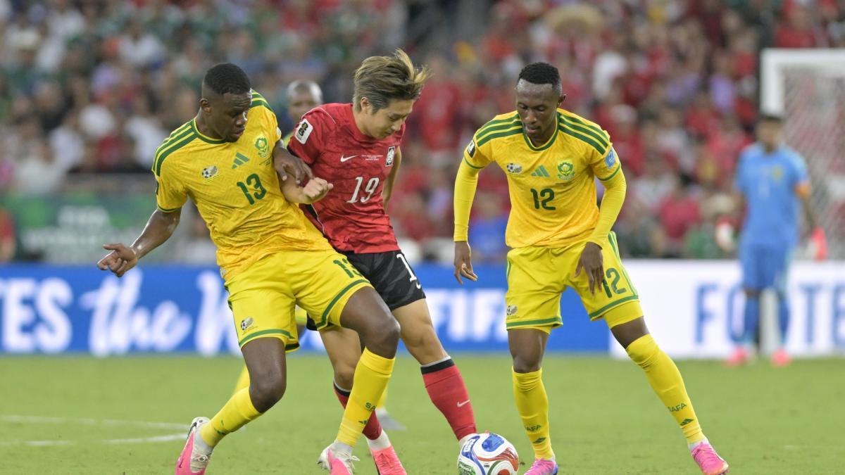 Hugo Broos prévient : le Canada ne laissera "aucune seconde de répit" à l'Afrique du Sud