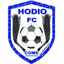 Logo Hodio