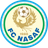 Logo Nasaf