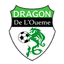 Logo Dragons