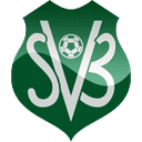 Logo Suriname