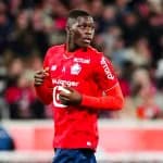 Soriba Diaoune : la nouvelle pépite guinéenne qui fait briller Lille